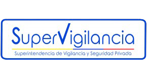 logodelasupervigilancia