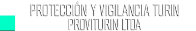 Turin_logo